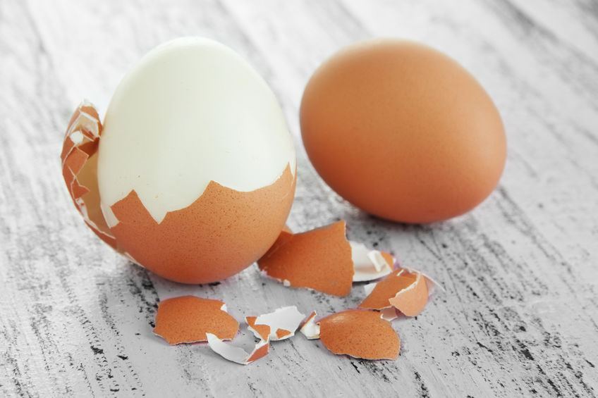 Lire la suite à propos de l’article Pourquoi devriez-vous commencer à consommer des ovoproduits ?